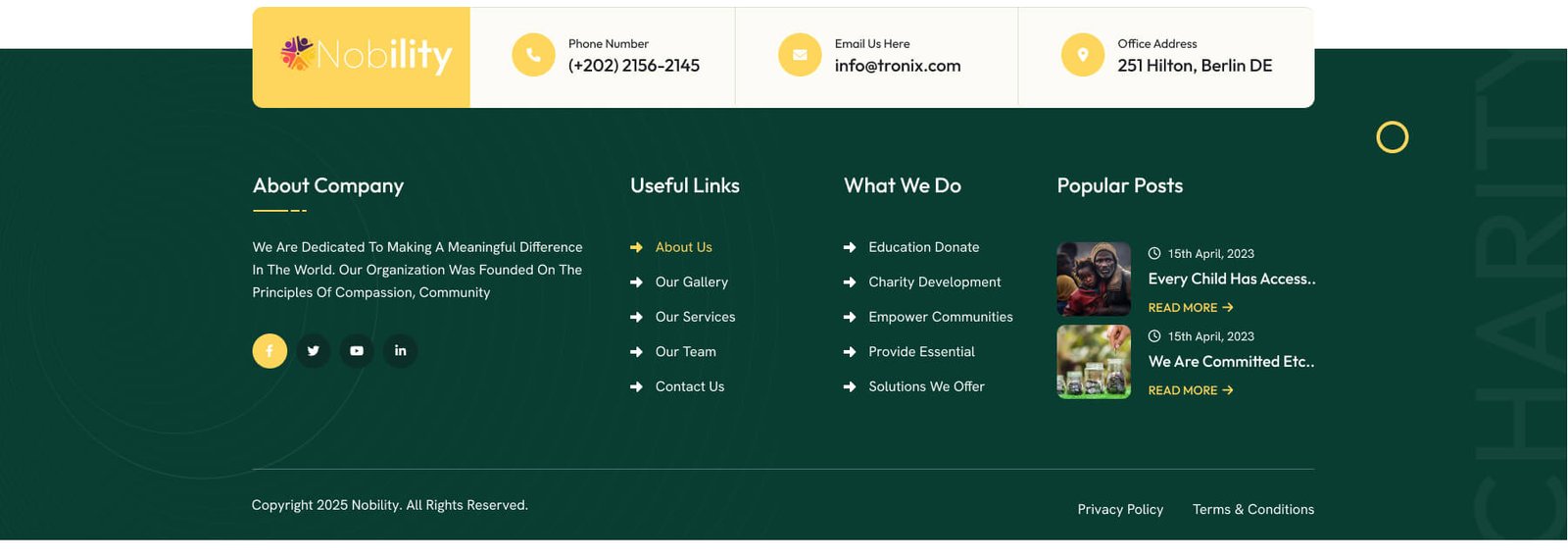 themepul-nobility-footer-11