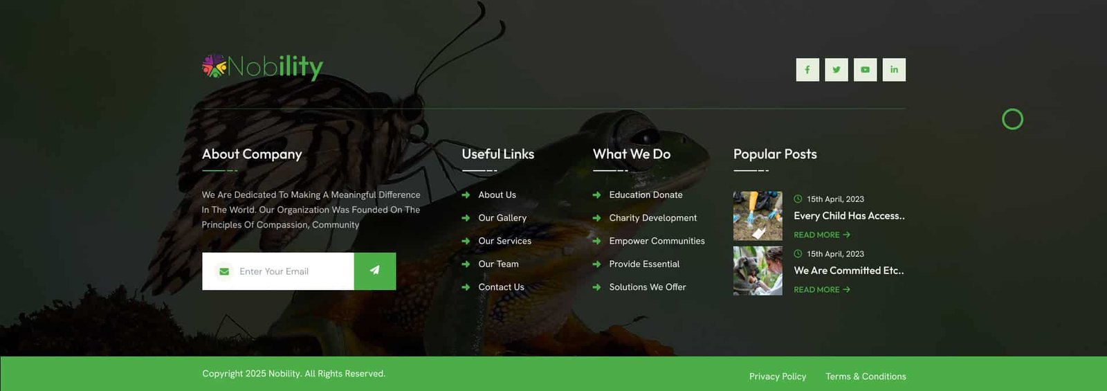 themepul-nobility-footer-8